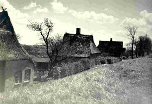 Gehöfte am Deich in Altendeich am 01.05.1927