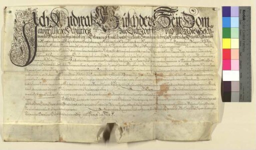 Andreas Busch, domkapitelscher Schultheiß zu Sulzfeld, und das dortige Gericht stellen der Margarethe Hohe einen Geburtsschein aus. Darin bezeugen sie nach einer Urkunde des Prädikanten Jeremias Knaus zu Rottenbauer, dass ihre Eltern Hans Hohe und Margarethe, des Georg Stark Tochter zu Rottenbauer, vor den Zeugen Hans Full und Hans Schopf vom Prädikanten Johann Schlegelmilch im Jahre 1613 getraut wurden. Hans Hohe sei vier Jahre zu Sulzfeld Schäfer gewesen und dann nach Eisfeld verzogen.