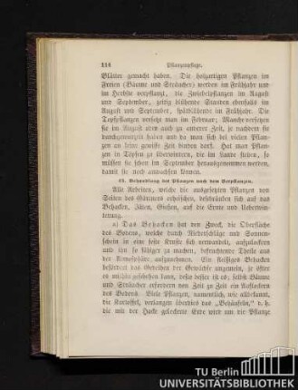 43. Behandlung der Pflanzen nach dem Verpflanzen.
