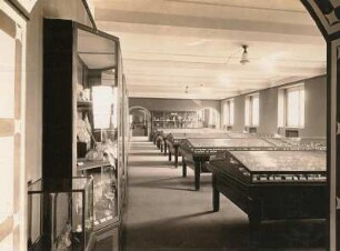 Mineralien-Sammlung (Jul. Richter Stiftung) : Mineralien-Sammlung (Jul. Richter Stiftung) im Zwickauer Museum