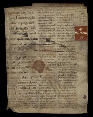 Johann Eckel. Johann Sternhals. Alexander von Suchten. Paracelsus. Anonyme alchemische Traktate und Lehrgedichte. Chemische und medizinische Rezepte