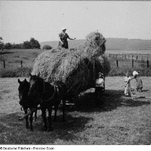 Deutschland. Heuernte. Aufstaken auf den Erntewagen