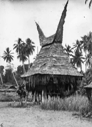 Tamban (Forschungsreise durch Deutsch-Guinea 1909)