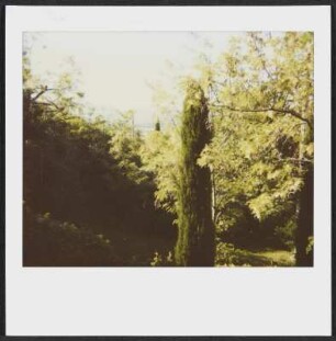 Garten in Puy-Saint-Martin