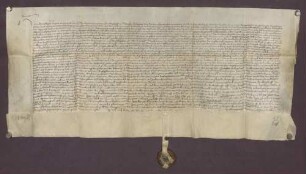Paul Babst, Schultheiß, und Genossen stiften eine Bruderschaft in der Kapelle zu Rohrbach und bitten den Bischof von Worms um deren Bestätigung.