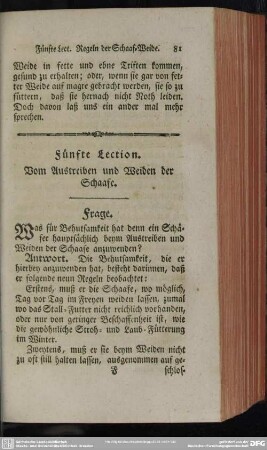 Fünfte Lection. Vom Austreiben und Weiden der Schaafe