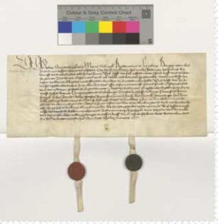 Die Ratsmannen Johann Snewerdingk und Meine Tobingk bestätigen auf Wunsch des Ratsmannes Hinrick van der Molen dessen 5 Testamentsvollstrecker.