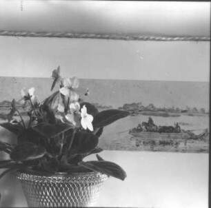 Stilleben mit Blumentopf vor Reproduktion (Flußlandschaftszeichnung)