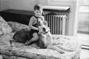 Bukarest: Haus des + Schriftleiters Wilhelm Müller, Junge mit Hund