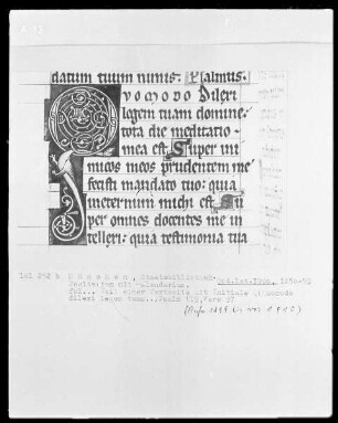 Psalterium mit Kalendarium — Initiale Q (uomodo dilexi) mit Drache