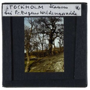 Stockholm, Skansen