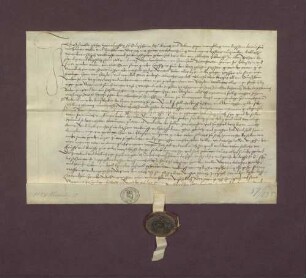 Verkaufsbrief des Oswald Gyher zu Sinzheim an Graf Bernhard von Eberstein über eine Mannesmatt Wiesen oder Maifeld und 1 Viertel Reben
