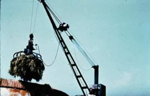 Fotografie: Greiferanlage, Hochsilo, Mistlager