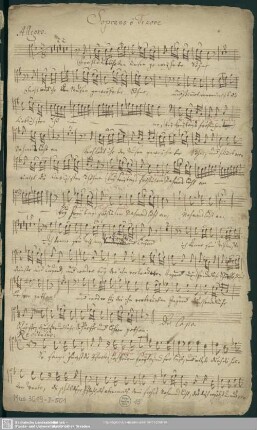 Soprano ô Tenore [Textfassung: Frohlocket...]