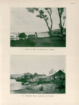 Tafel 7.: 12. Töpfer von Maré am Strande von Ternate. 13. Alfurische Prauen nordwärts von Ternate