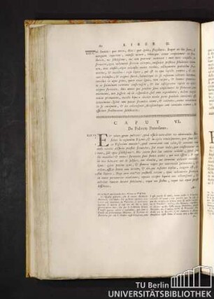 Caput VI. De Pulvere Puteolano. Capitolo VI. Della Pozzolana.