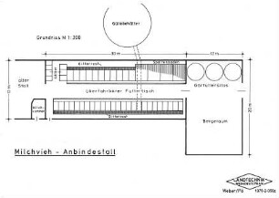 Milchvieh-Anbindestall