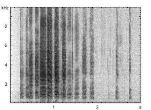 Hausgans | Anser anser f. domestica - Ruf