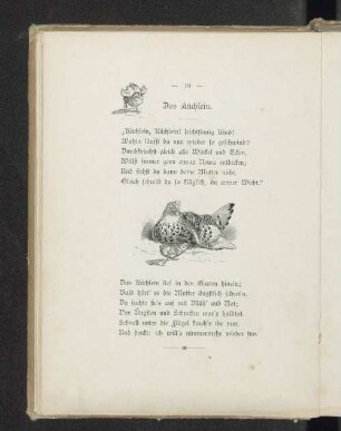 Das Küchlein.