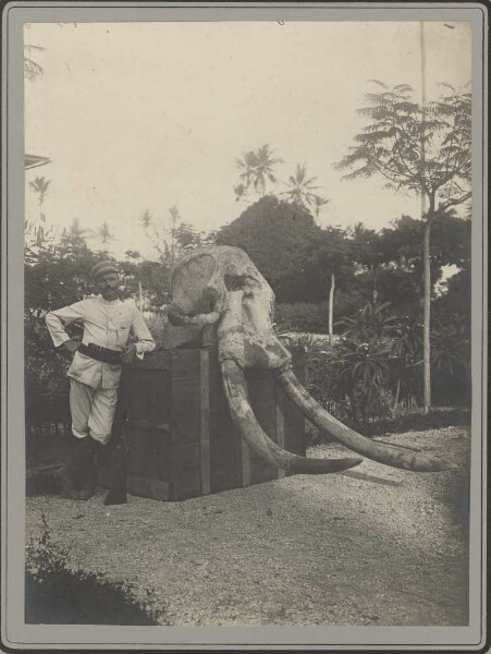 Portrait avec un crâne d'éléphant