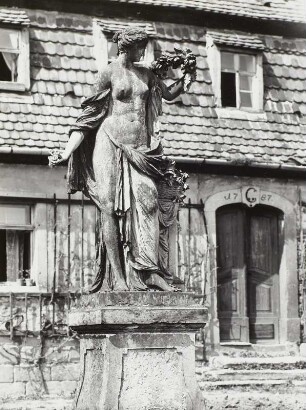 Flora