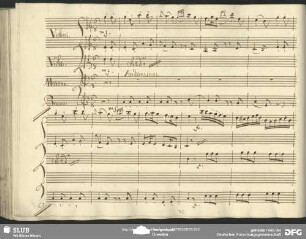 Cavatina: "Donne mie sin da puttello"