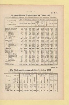 Tabelle 19. Die gewerblichen Schlachtungen im Jahre 1907