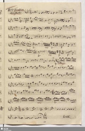 1157. Cavatina: Quello è il tetto quello è il nido / Cimarosa, D.