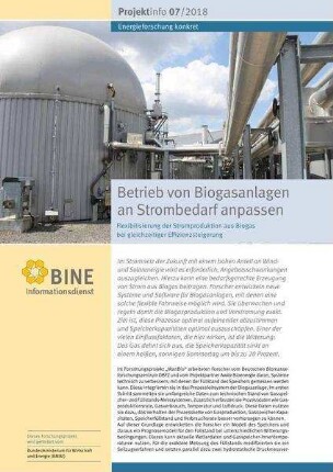 Betrieb von Biogasanlagen an Strombedarf anpassen. Flexibilisierung
            der Stromproduktion aus Biogas bei gleichzeitiger Effizienzsterigerung.