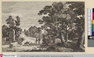 [Waldlandschaft mit Wanderern]