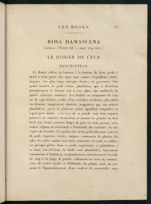 53-54, Rosa Damascena (Celsiana.) Le Rosier de Cels.