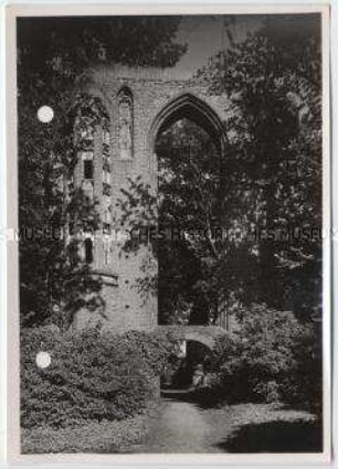 Greifswald, Zisterzienserkloster Eldena