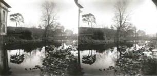Seifhennersdorf. Mandau. Blick flussaufwärts