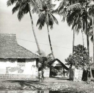 Cochin (Kochi), Indien. Wohnhäuser mit Dach aus Palmenblättern unter Kokospalmen
