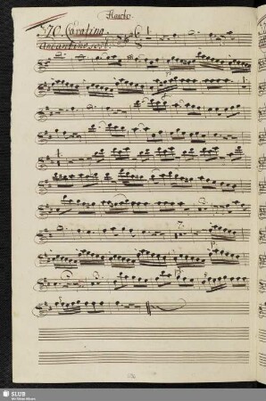 370. Cavatina: Rondinella che il fido / Piccinni, N.
