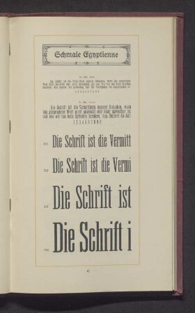 Schmale Egyptienne
