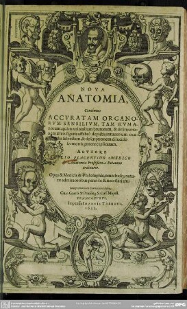 Nova anatomia