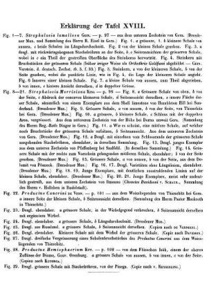 Erklärung der Taf. XVIII.