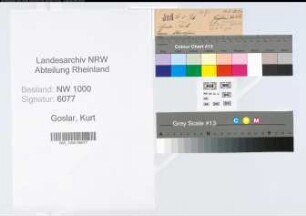Entnazifizierung Kurt Goslar, geb. 11.08.1893 (Bankkassierer)