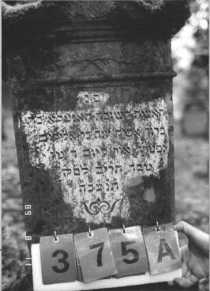Grabstein 375 (Index: 99799678) Material: Sandstein Zustand: stark verwittert Maße HxBxT: 116x45x16 cm Beschreibung: Stele, Abdeckplatte, Giebelaufsatz mit Seitenakroteren, unter der Sima Friesband, Schriftfeld eingetieft, getreppter Sockel Symbolik: florale Elemente: Grabstein 375A
