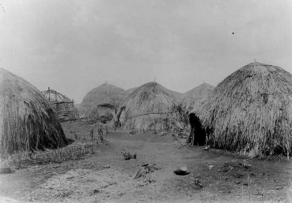 Beehive huts