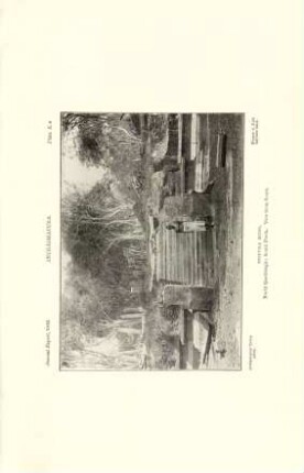 Plate K*. Anurádhapura. Toluvila ruins. North quadrangle: South porch. View from south.