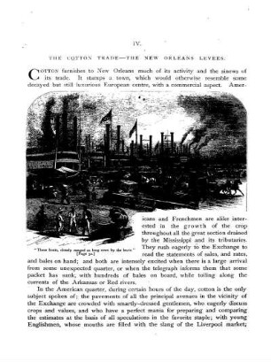 The Cotton Trade - The New Orleans Levées