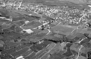Ihringen: Weinberge und Ortsansichten, vom Berg in Ihringen