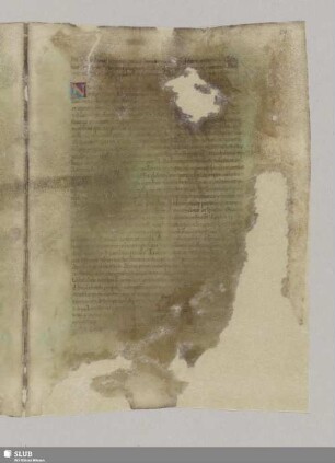 De delectu equorum. Cap. VIII.