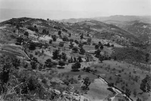 Landschaft : Blick über die von Gerstenfeldern, Feigen- und Ölbäumen geprägte Landschaft