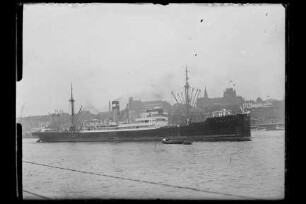 Amasis (1923), Kosmos, Hapag