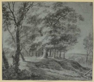 Baumreiche Landschaften