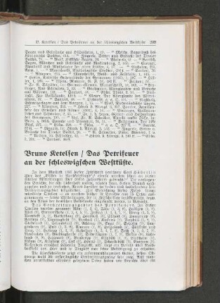 Bruno Retelsen / Das Petrifeuer an der schleswigschen Westküste