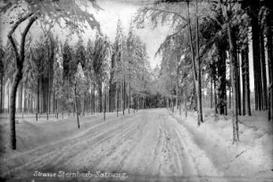 Satzunger Straße